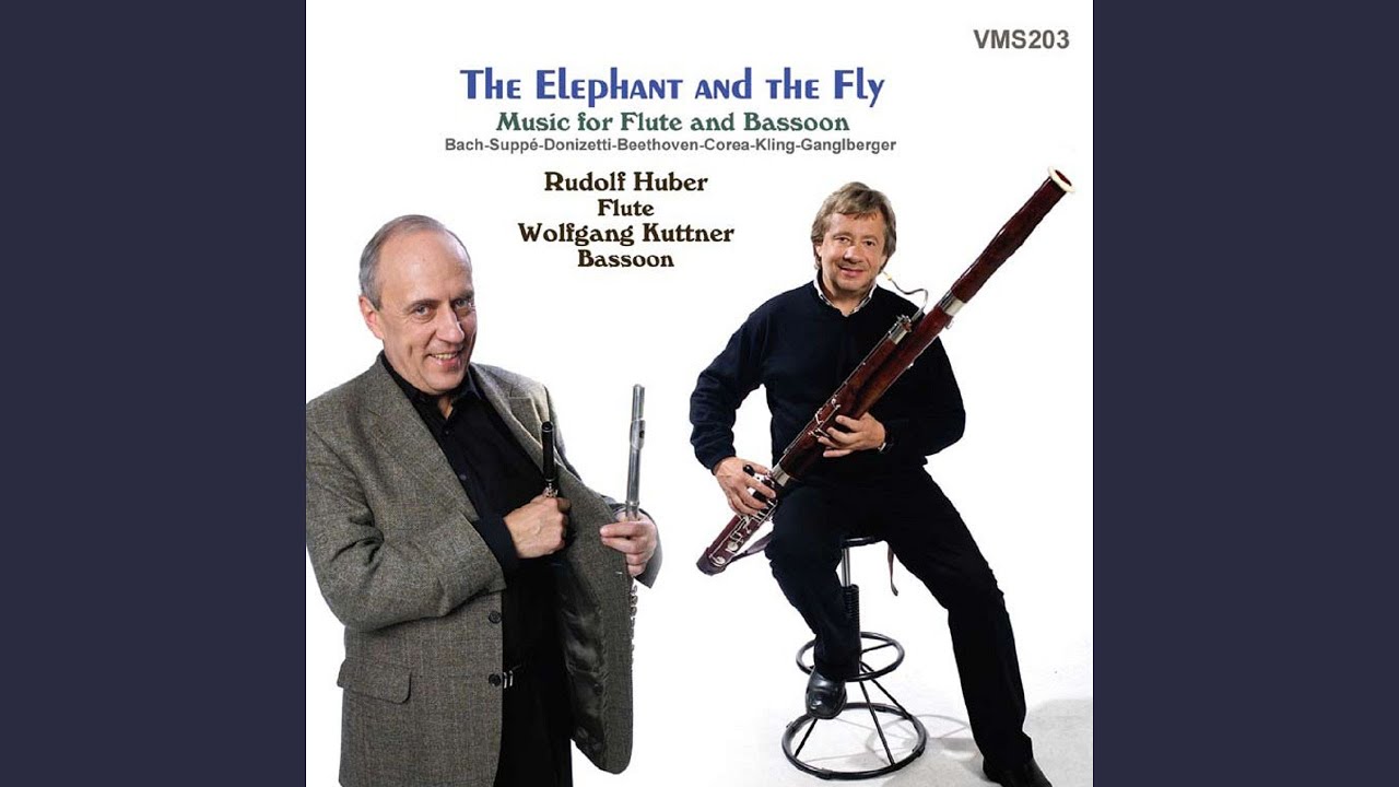 Elephant and Fly Comic Intermezzo for Piccolo Flute and Bassoon