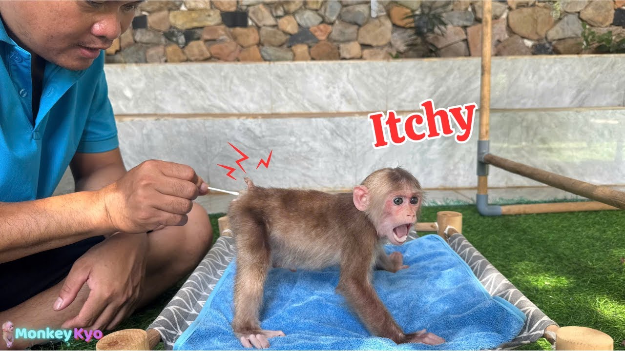 Funny! Kyo took out a towel &ndash; and asked dad to apply medicine on her butt!
