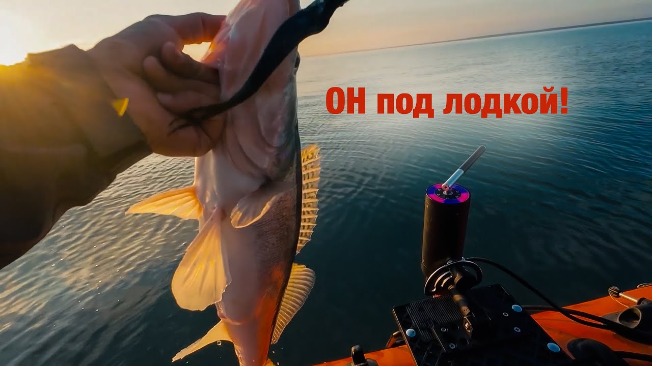 Закрытие сезона 2025. Подборка поклёвок судака в lowrance active target2