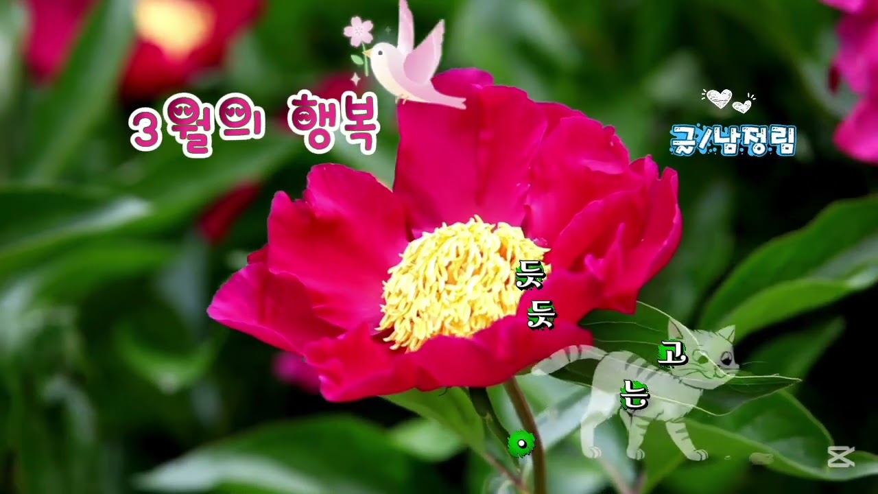3월의 행복 글/남정림 