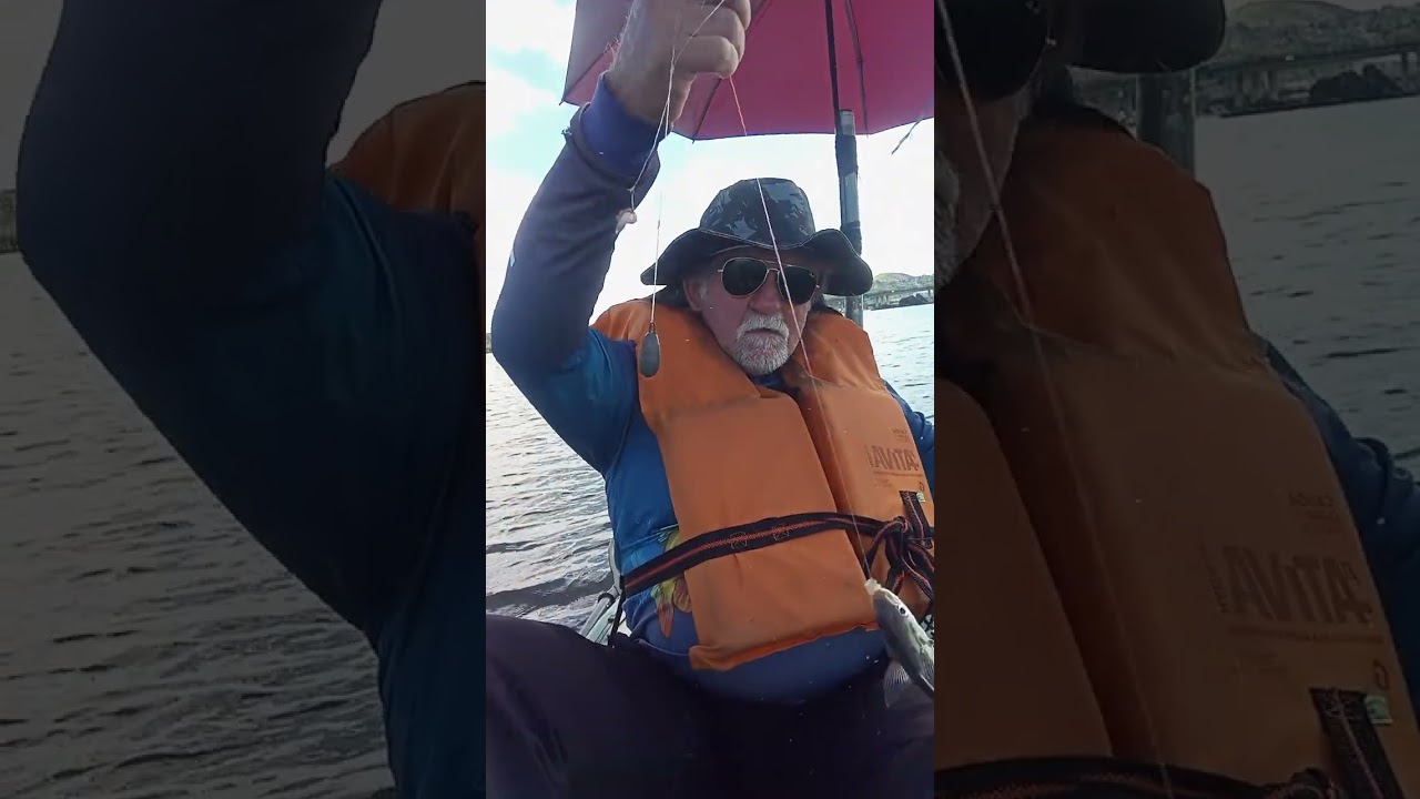 Pescaria na baía de Vitória ES de corvina 