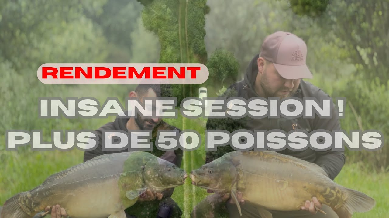 PECHE DE RENDEMENT INSANE SESSION | PECHE DE LA CARPE | EDITION 4K OFFICIEL