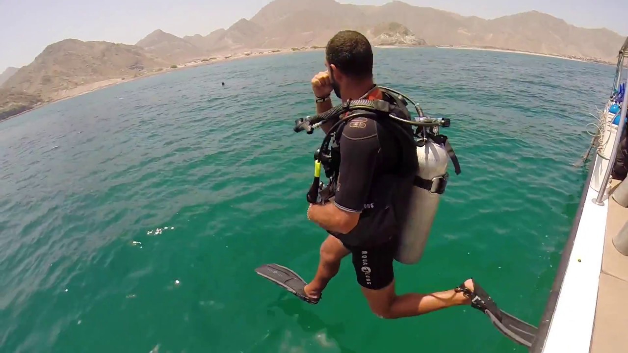 Explore the waters of the UAE&rsquo;s East Coast with Al Boom Diving at Le Meriden Al Aqah