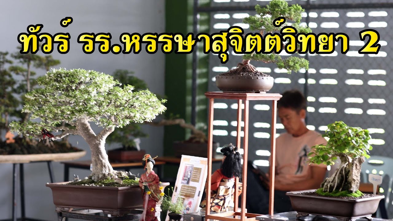 ทัวร์โรงเรียน หรรษาสุจิตต์วิทยา 2 เปิดงานสร้างอาชีพด้วยบอนไซ ชมรมสุพรรณบอนไซคลับ