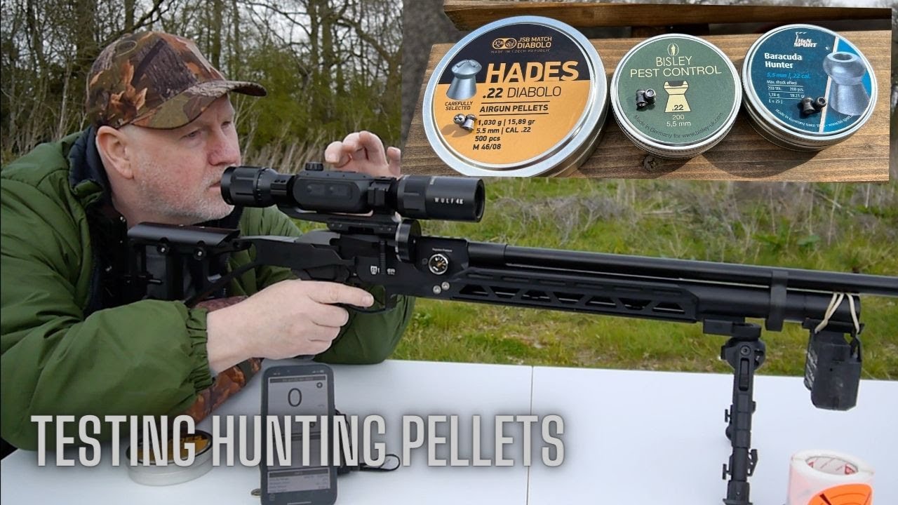 Testing Hunting/Pest Control Pellets with FX Dreamline Saber Tactical .22 & Wulf 4Kscope