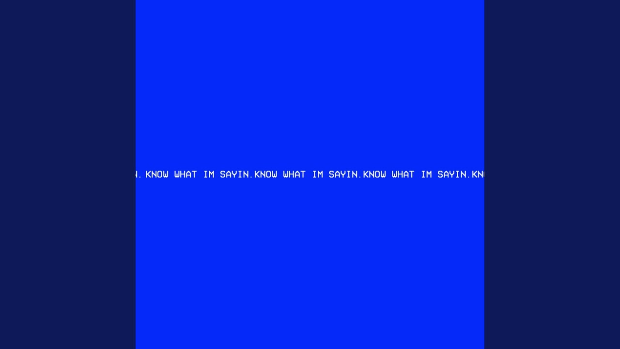 KNOW WHAT I'M SAYIN.