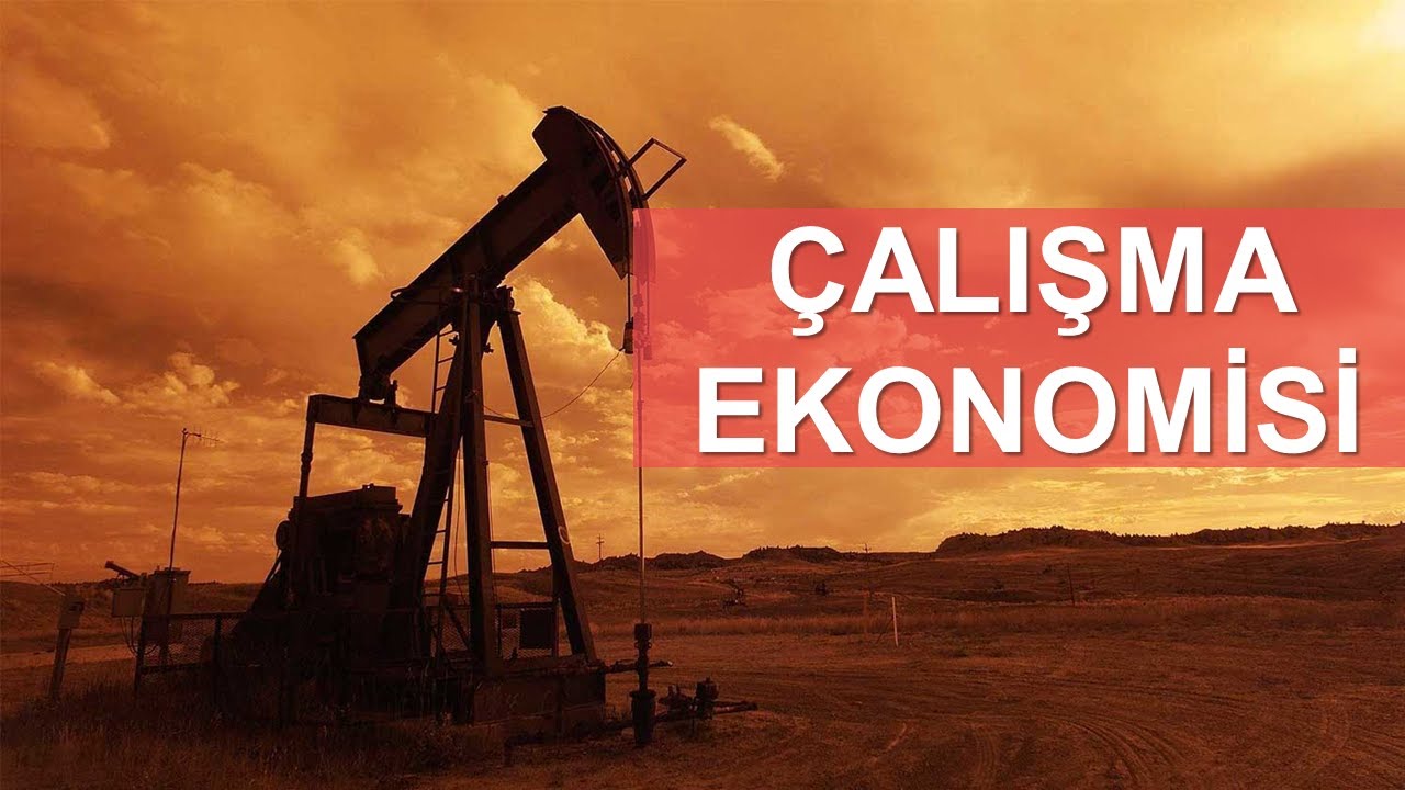 &Ccedil;alışma Ekonomisi Dersi &Ccedil;&ouml;z&uuml;ml&uuml; Sınav Soruları | ✅ Hemen İzle Sınavda &Ccedil;ıkabilir