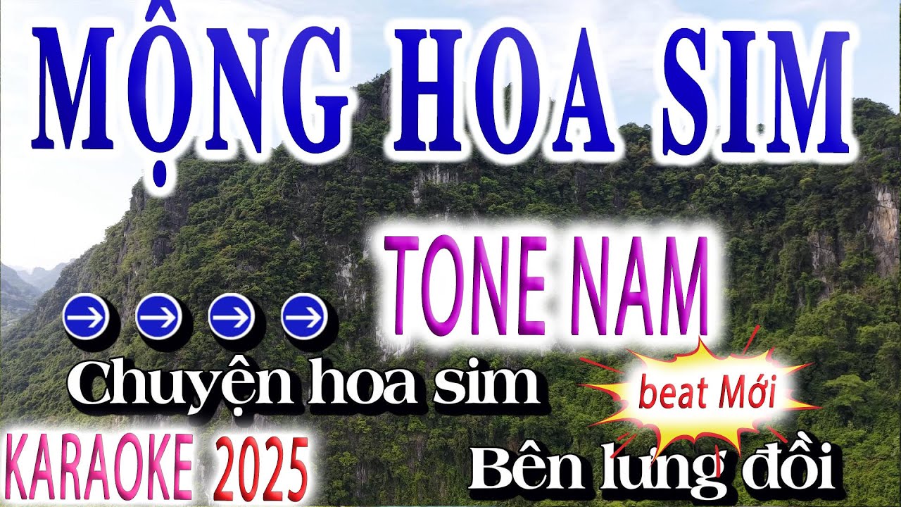 Karaoke Mộng Hoa Sim Tone Nam Beat Mới 2025