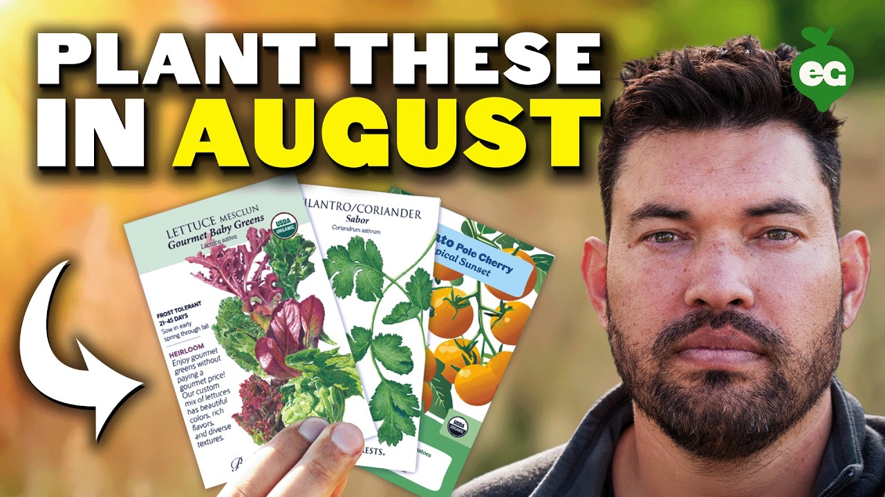 11 Crops You Can  STILL Plant August!