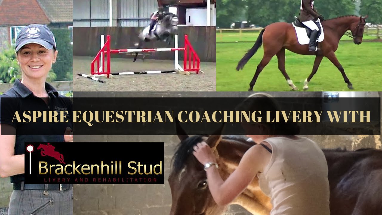 Aspire Equestrian Coaching Livery with Brackenhill Stud