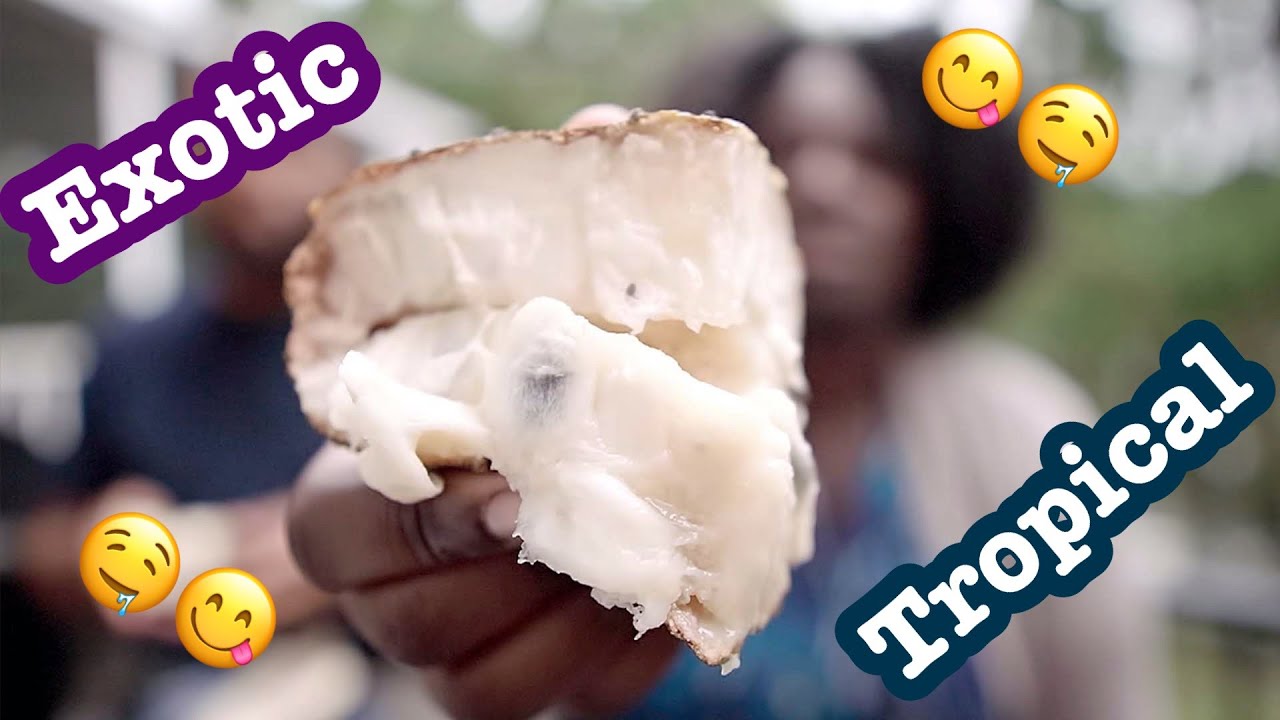 Soursop (Guanabana) taste | Exotic Fruits with￼ Keyz&T