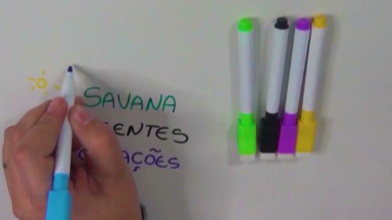 Canetas Coloridas para Quadro Branco com Apagador e Im&atilde;