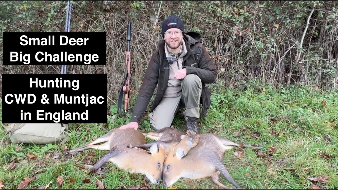Small Deer, Big Challenge | Muntjac & Chinese Water Deer Hunt in England