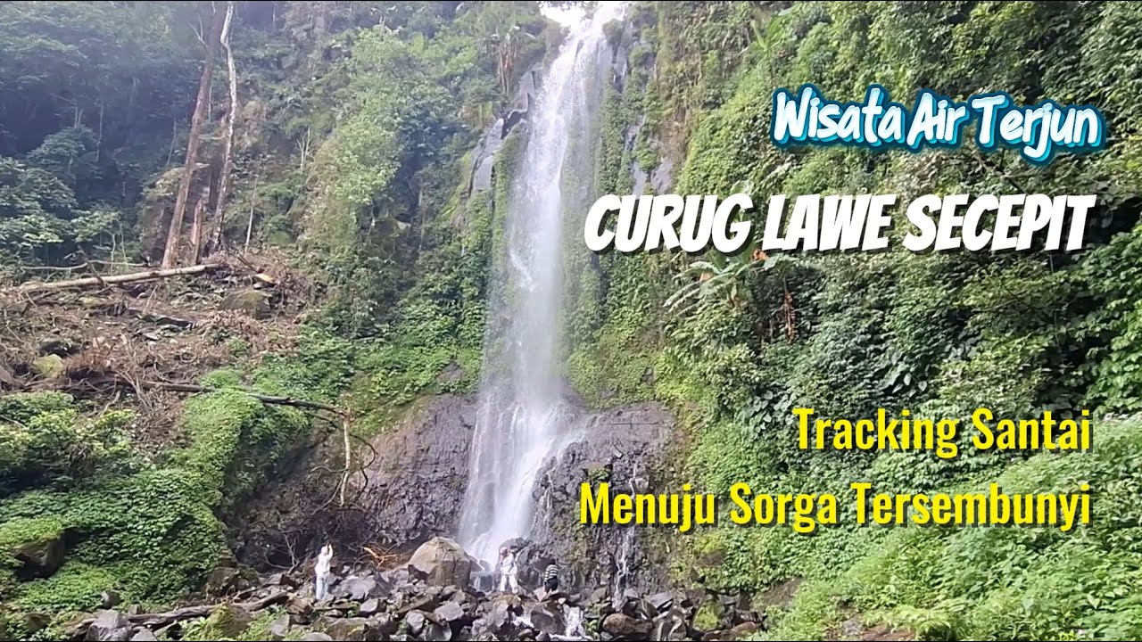 Curug Lawe Secepit. Tracking Lereng Gunung Ungaran Menuju Air Terjun Dengan Keindahan Tersembunyi