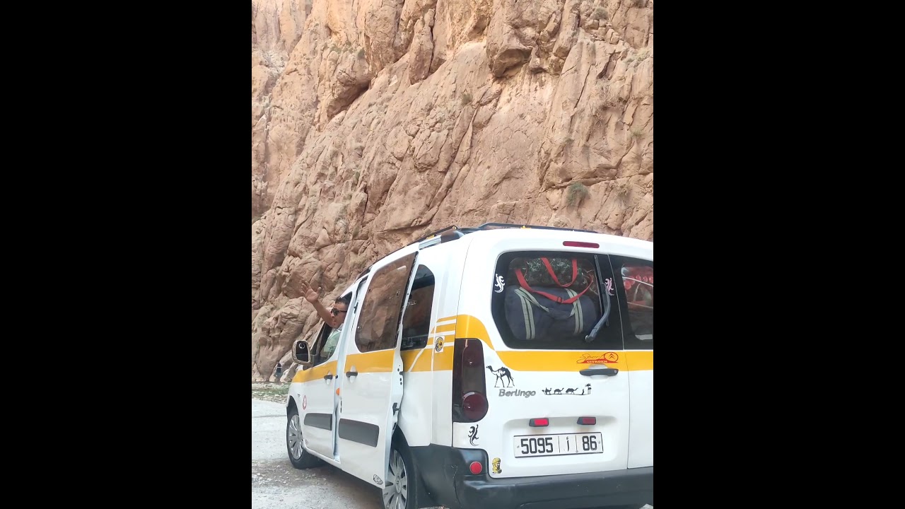 تودغى