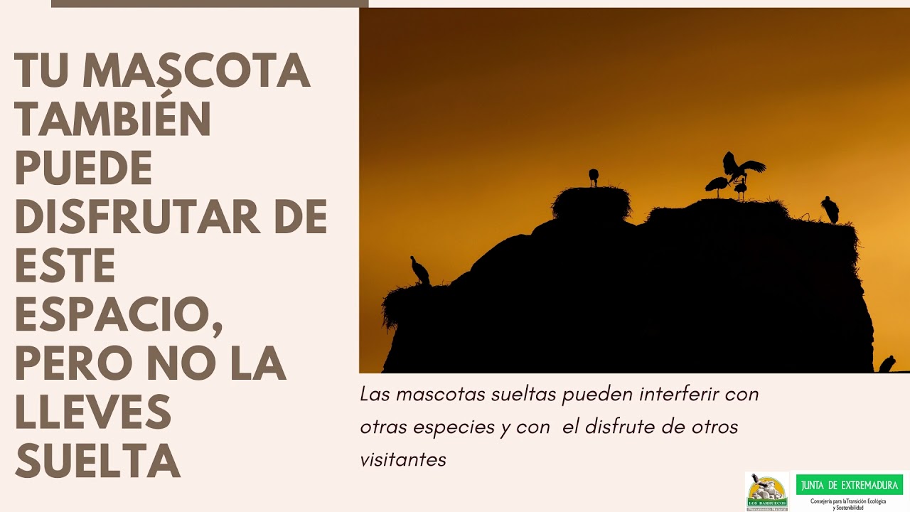 Disfruta con responsabilidad del Monumento Natural Los Barruecos