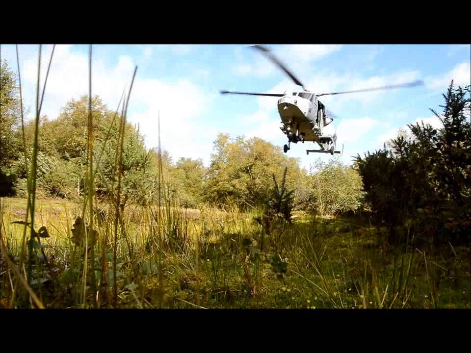 Wildcat AH.1 CAL