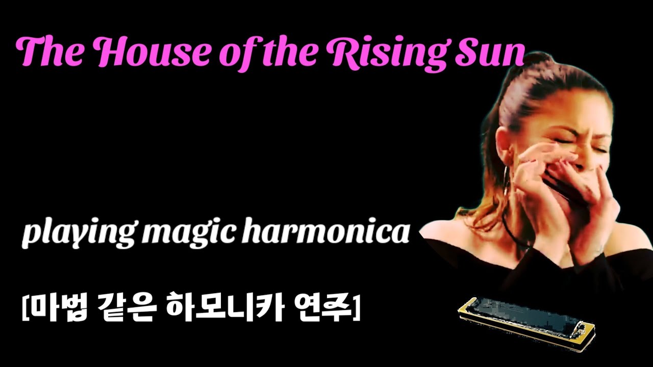 The House of the Rising Sun [The Animals] M/V  playing harmonica 
