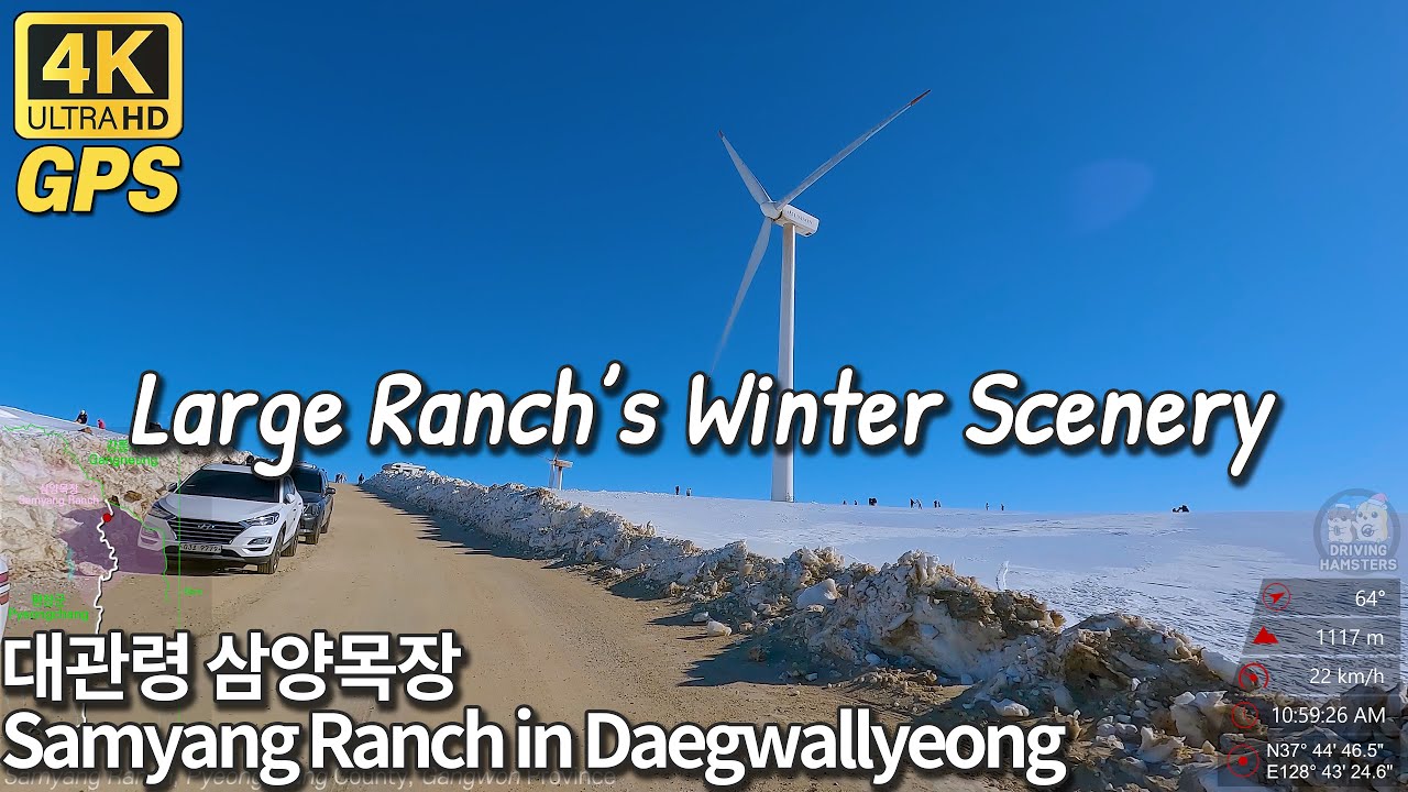 4K Korea Drive | Large Ranch's winter scenery, Daegwallyeong Samyang Ranch, Gangwon 대관령 삼양목장(삼양라운드힐)