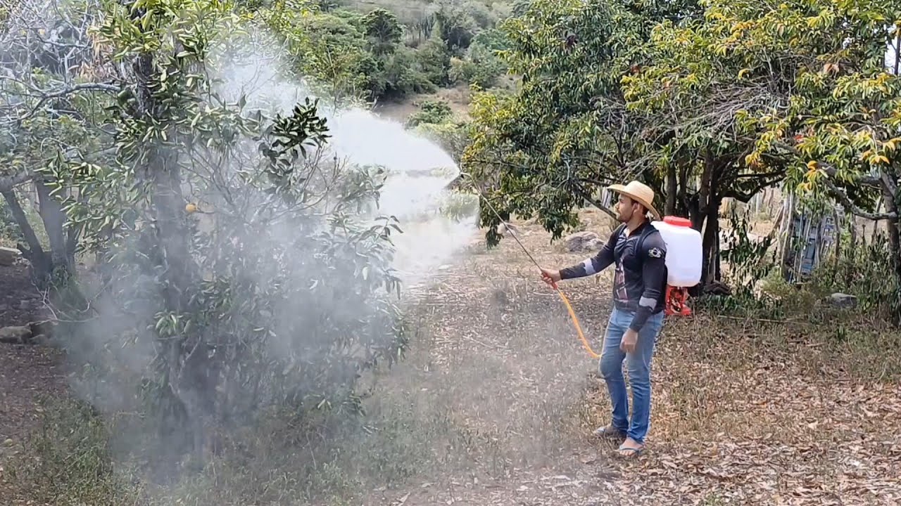 Pulverizador a gasolina kawashima