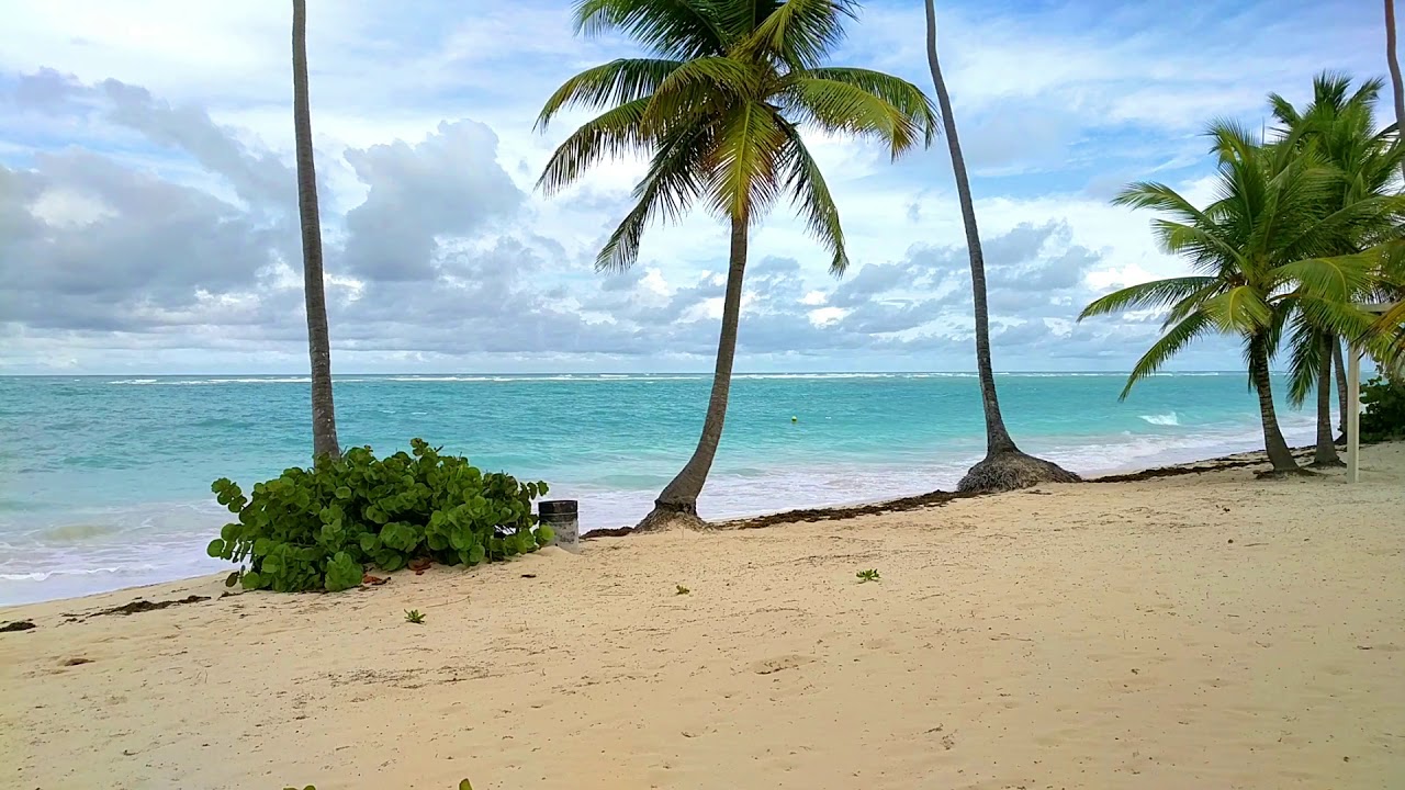 Playa el Cortecito Punta Cana Republica Dominicana