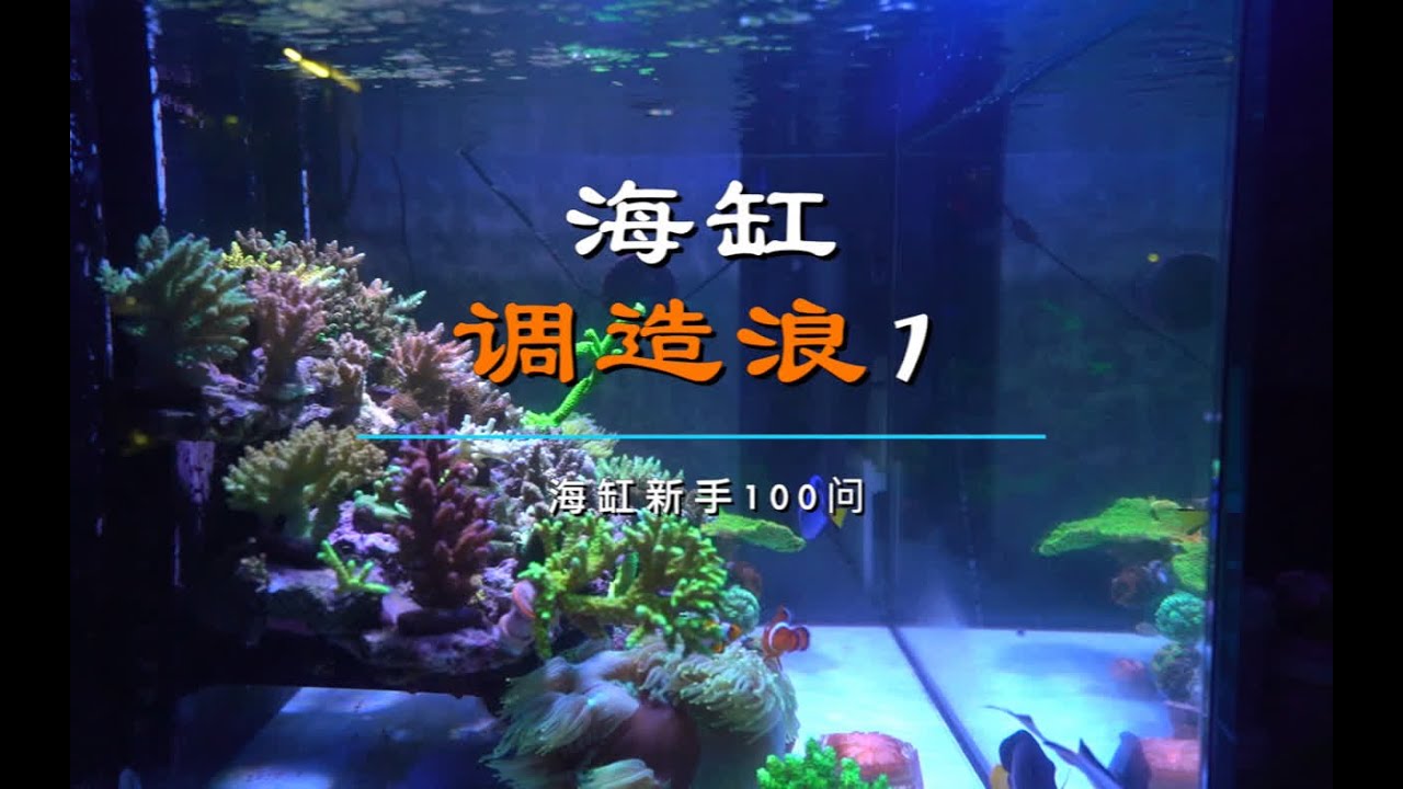 教你海缸造浪怎么调,第一期造浪摆放位置 别忘了点赞收藏啊#海水鱼珊瑚 #海缸 #造浪 ##海缸日记 #鱼🐠