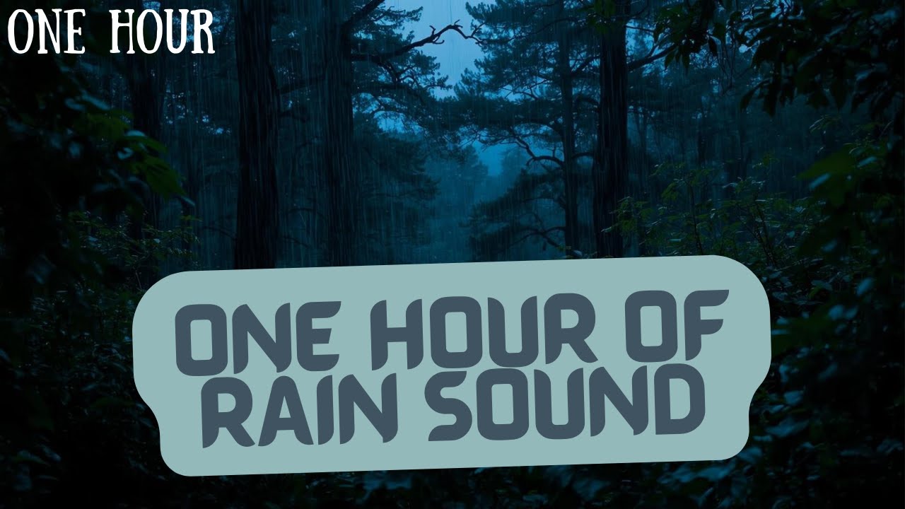 1 HOUR of Gentle Night Rain, Rain Sounds for Sleeping, Rainforest Screen to beat Insomnia, Relax