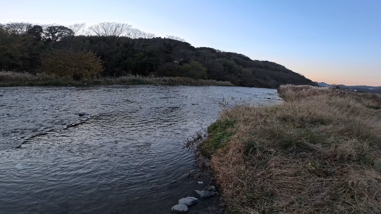 2025年12月のんびり