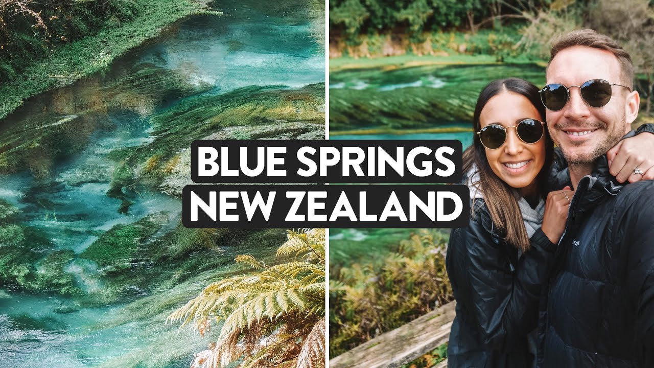 Amazing Blue Springs In New Zealand | Putaruru Blue Spring, Te Waihou Walkway