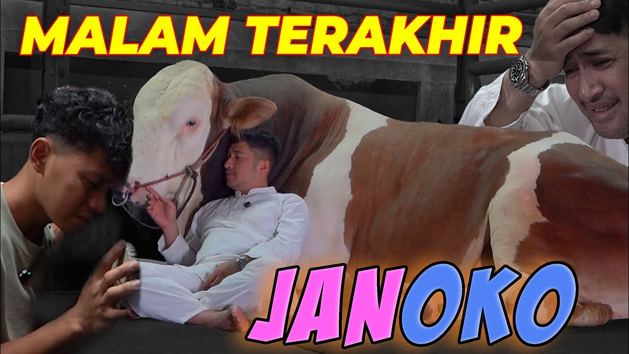 MALAM TERAKHIR JANOKO 😭