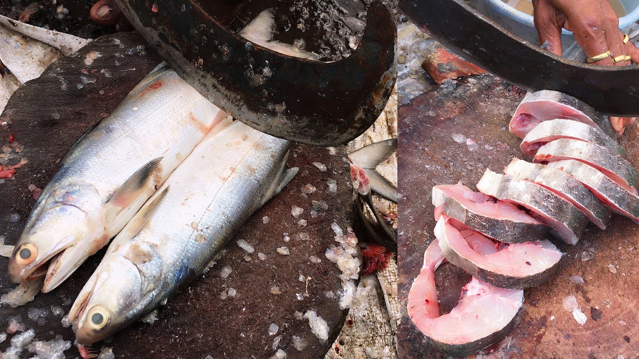 Live fish cutting | Rawas fish cutting | salmon fish | Mumbai fish market | fresh fish online