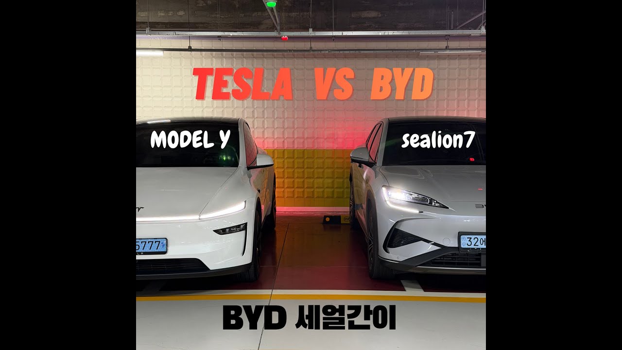 전문가 아님 주의｜씨라이언7 vs 모델Y 그냥 만져만 봤습니다
