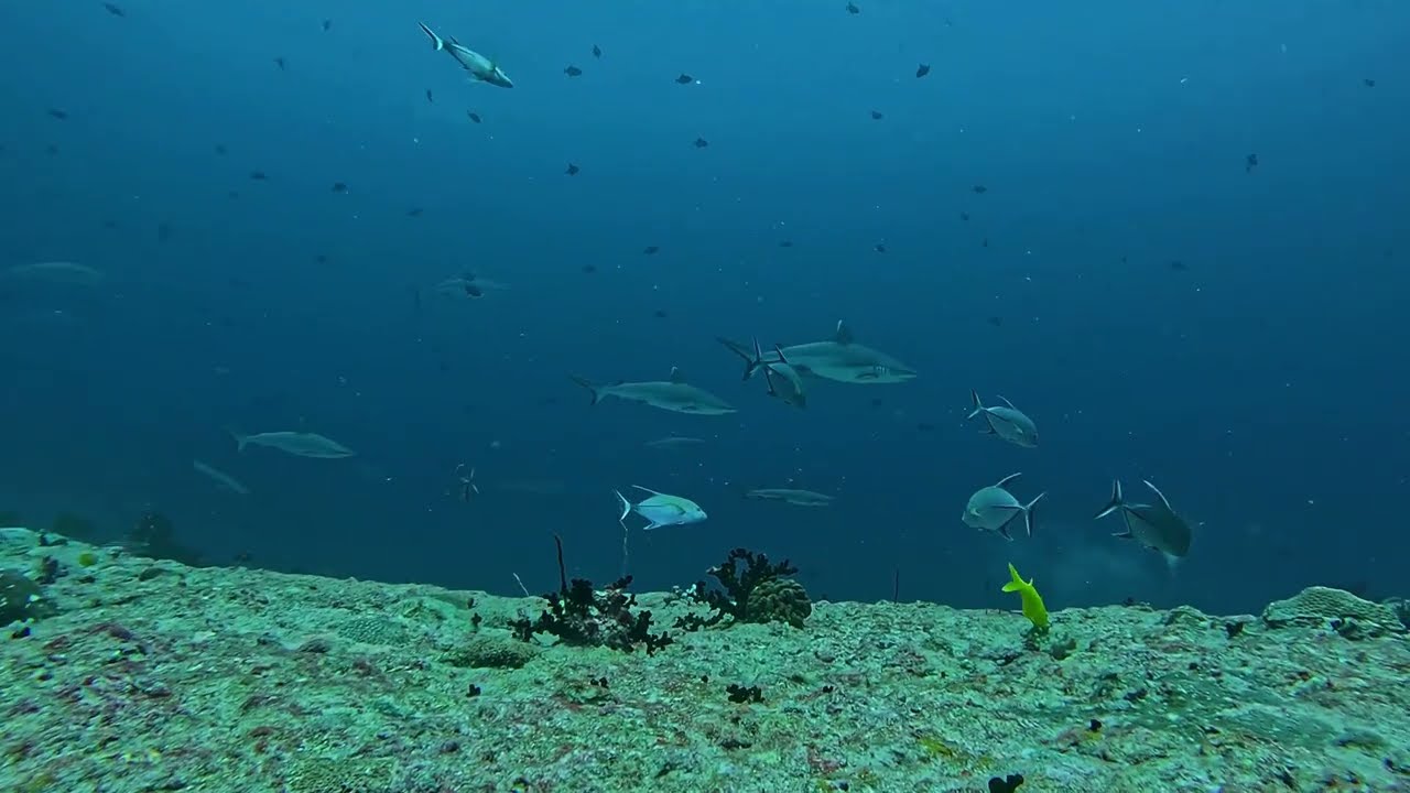 FULIDHOO III      MALDIVAS, 2025