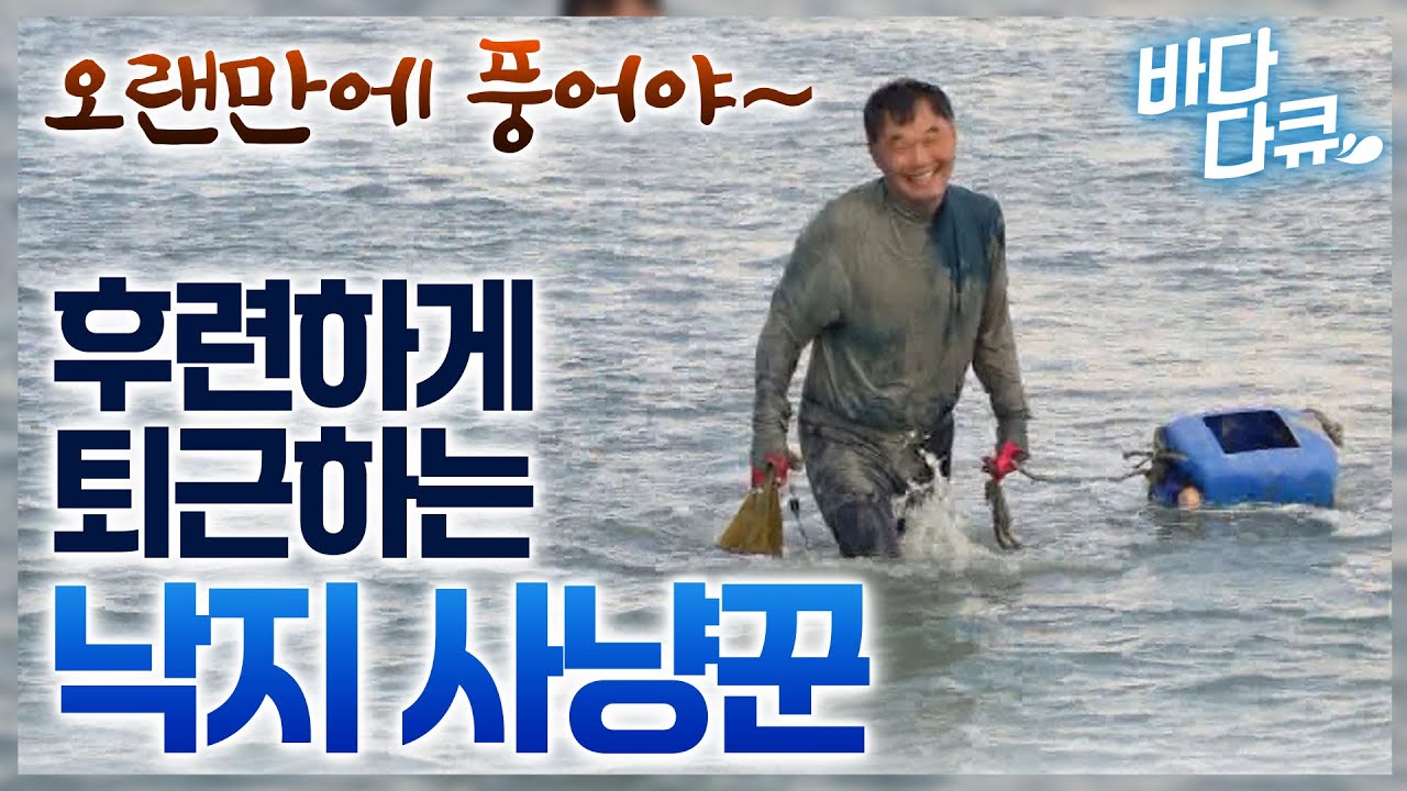 자꾸 웃음만 나온다. 오랜만에 낙지 쓸어 담은 경력 50년 베테랑 낙지 사냥꾼 / #바다다큐