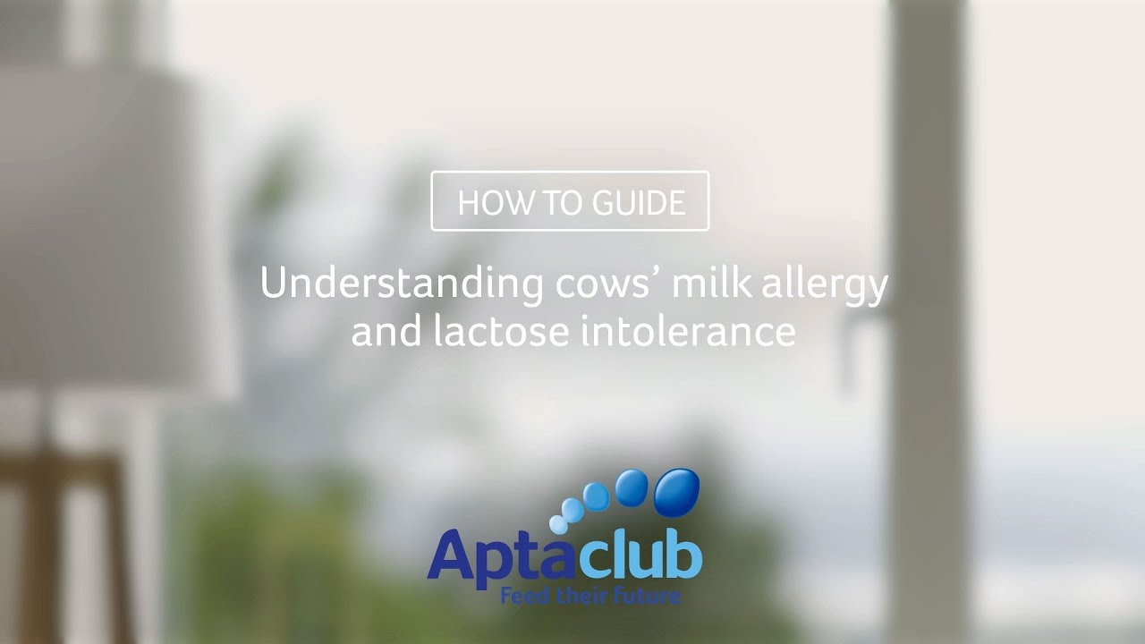 Understanding cows&rsquo; milk allergy and lactose intolerance