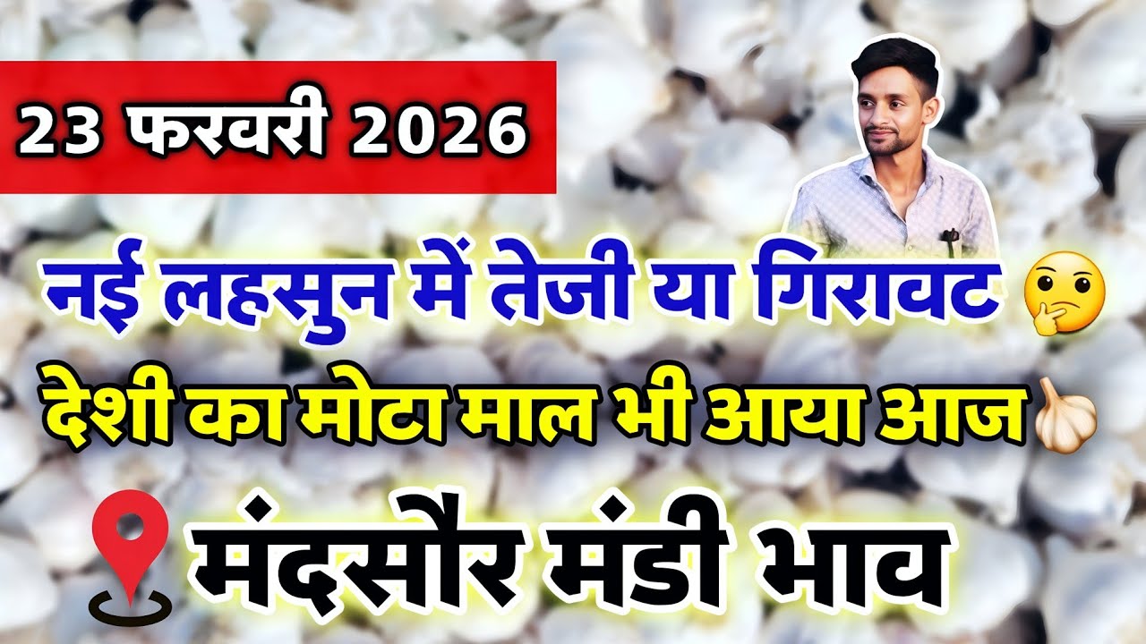 नई लहसुन का भाव मंदसौर मंडी 23 फरवरी 2026 | ooty lahsun | New Garlic Rate #mandsaur_mandi_bhav 