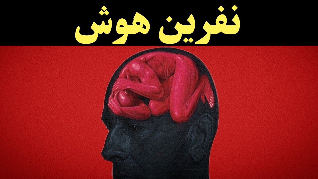 چرا جامعه از هوش تو میترسه؟ (فلسفه شوپنهاور)