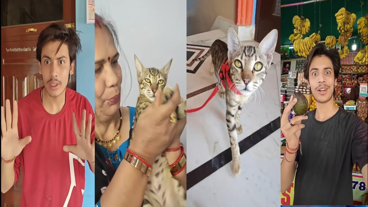 La bubu Ne Kiya Hungama || लबोंबू ने किया हंगामा|| Catty hui paresan|| Shreyansh ki comedy video 