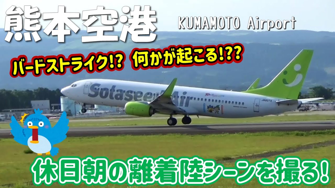 【熊本空港】バードストライク!? 何かが起こる!?? 休日朝の離着陸シーン ～Kumamoto Airport Takeoff & Landing (2022/5/28)
