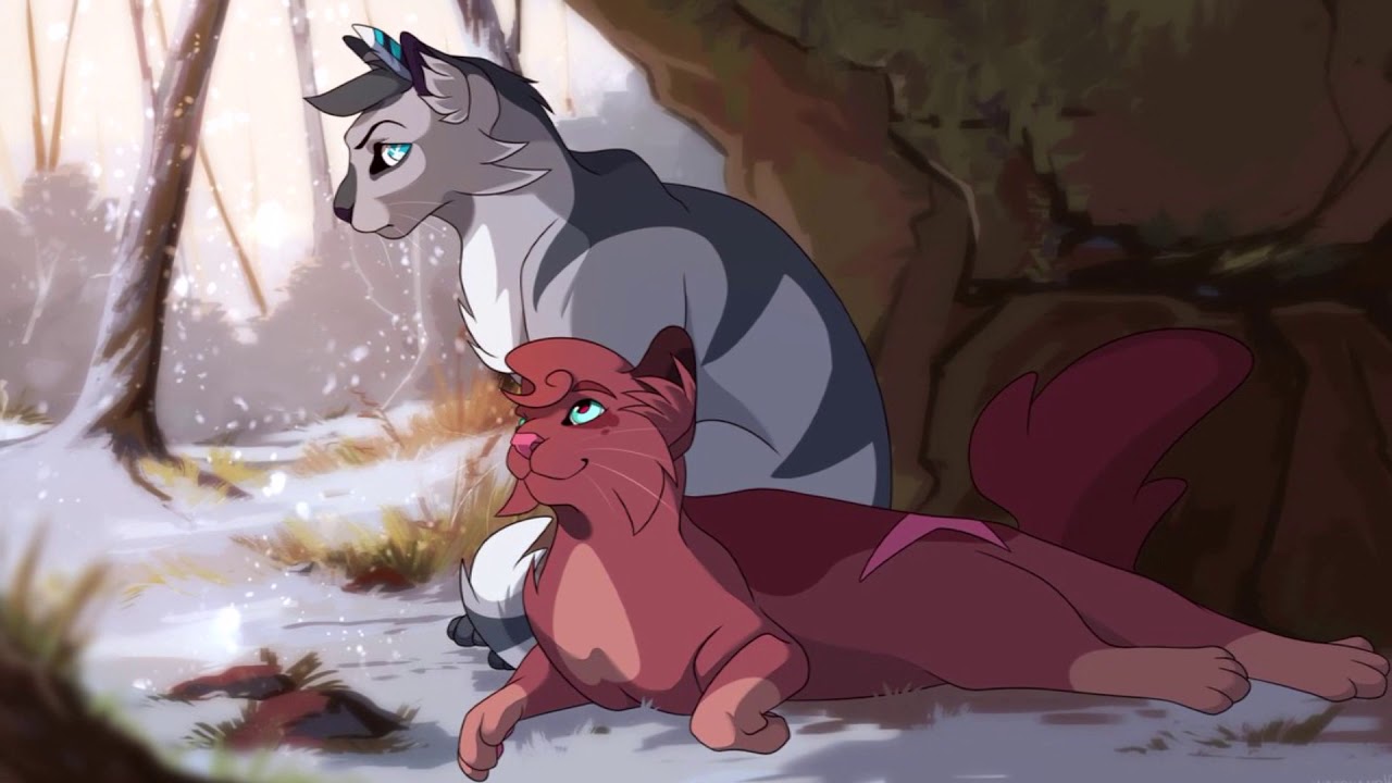 15 Katzen mit Behinderungen || Warrior Cats Videos