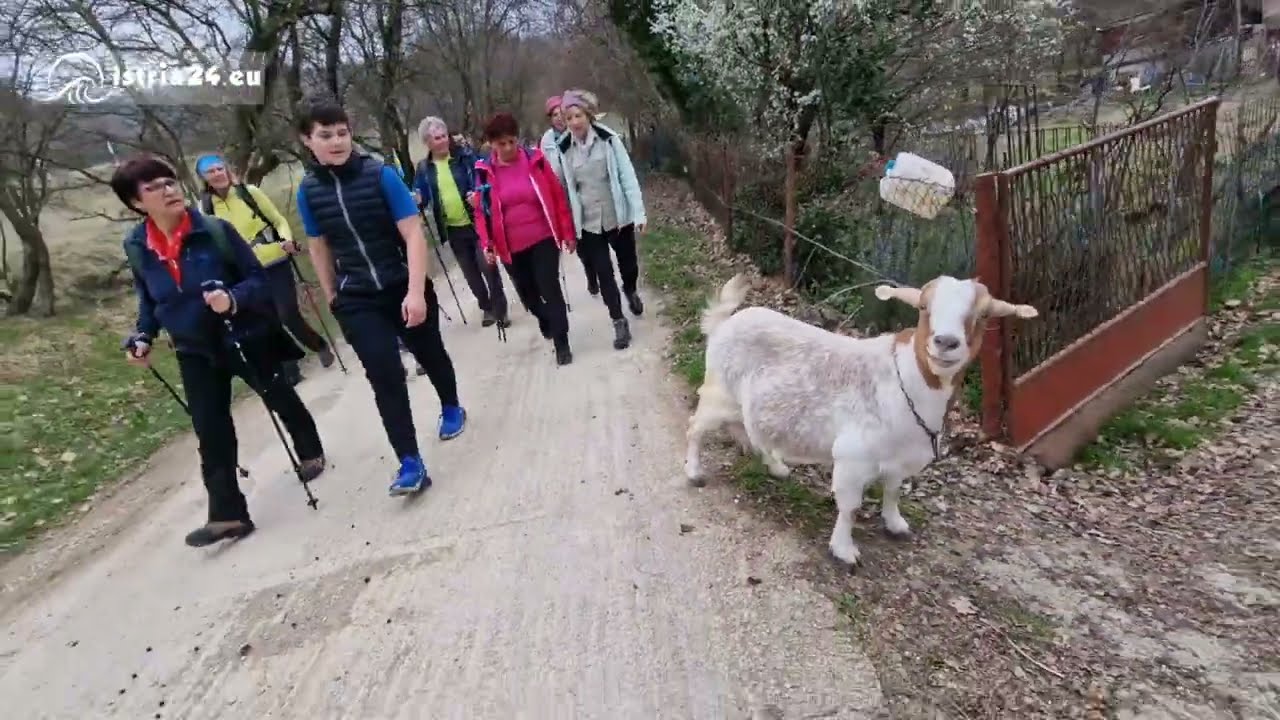 Istria24.eu - Piesza wycieczka śladami górniczego dziedzictwa - Labin - Rasa - Labin - 01.03.2026