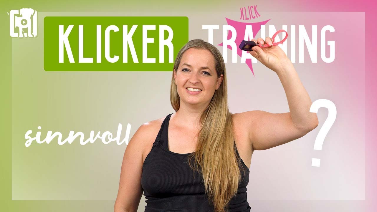 Genial: Klickertraining für Hunde einfach erklärt!