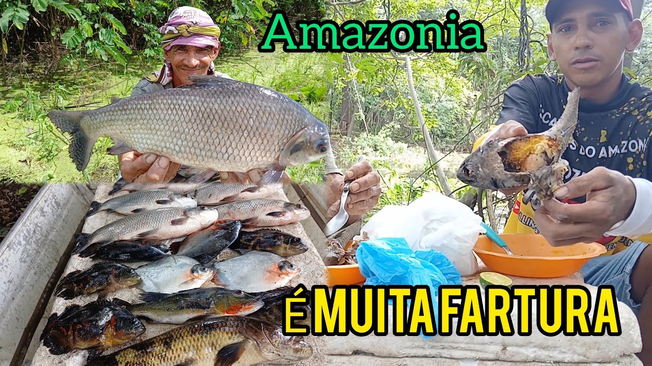 #amazônia ,#pesca -pescaria no lago do xibuir só tem peixe bruto e jacaré gigante