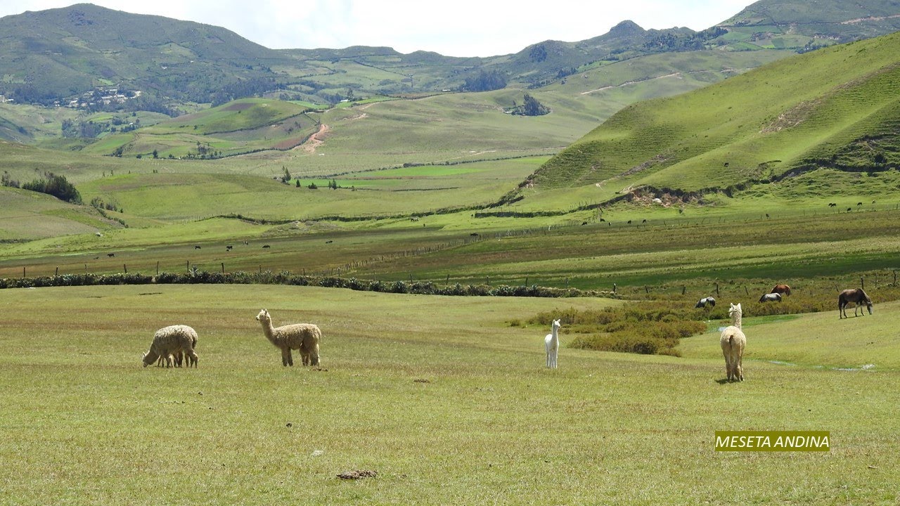 Meseta Andina y Túnel Culqui - Región Piura