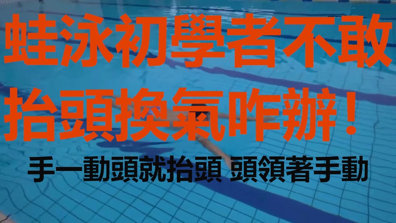 蛙泳初学者不敢抬头换气咋办！What to do if you don't dare to raise your head for breath in breaststroke