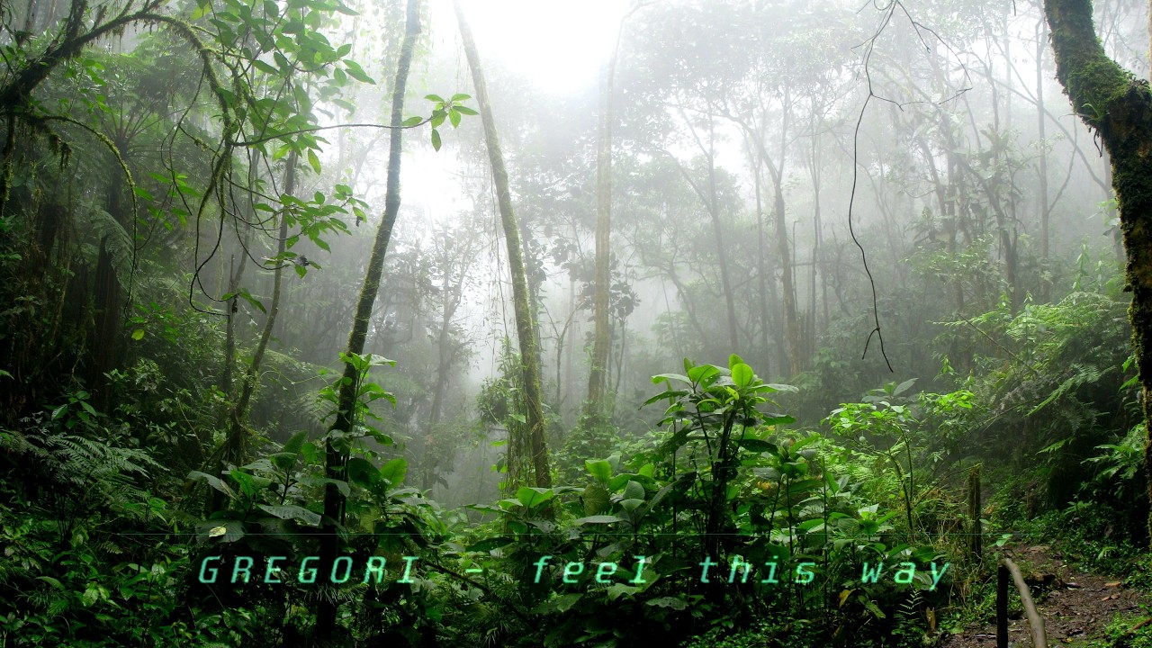 feel this way (Original Mix)