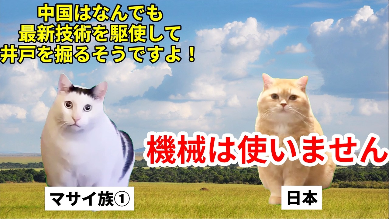 【ケニア支援】マサイ族が学んだ「100年前の日本の技術」#猫マニ #猫ミーム