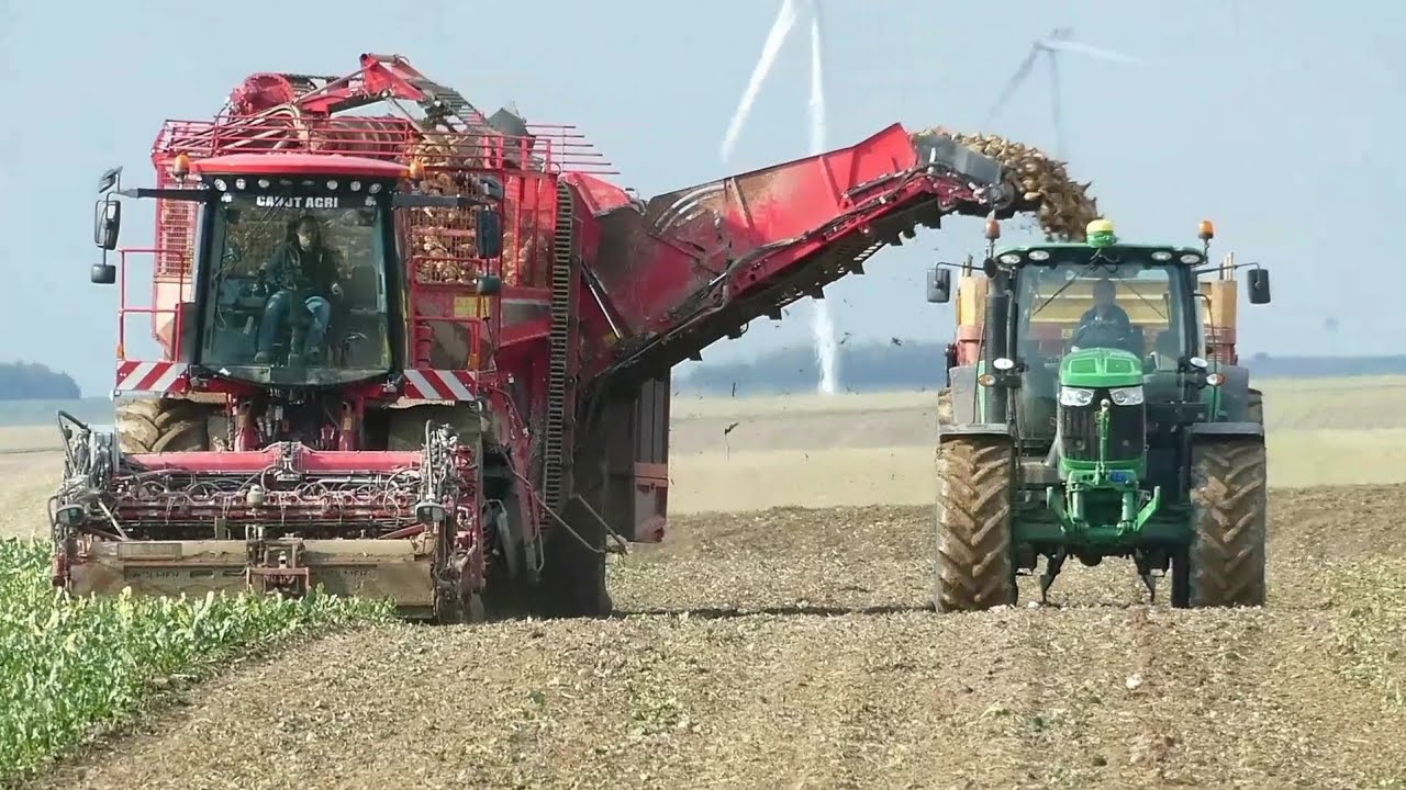 (🇨🇵)Holmer terra dos t4 !! Chantier de ramassage de betteraves