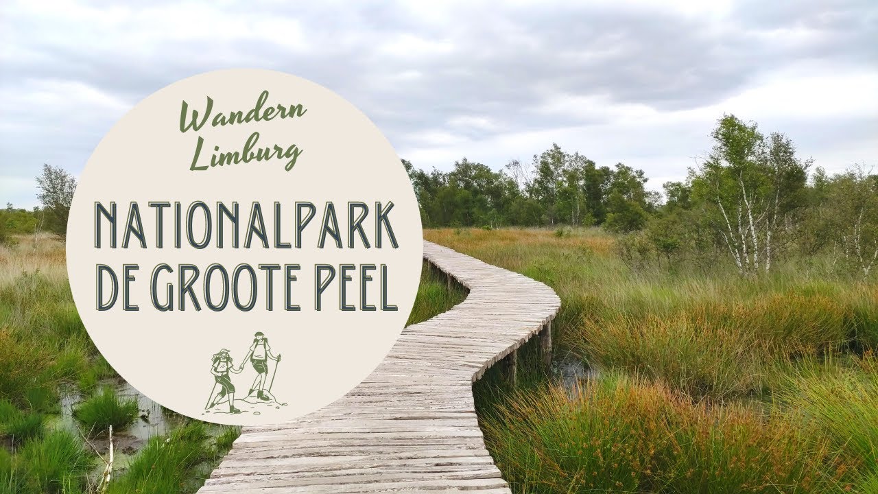Wanderung durch den Nationalpark De Groote Peel