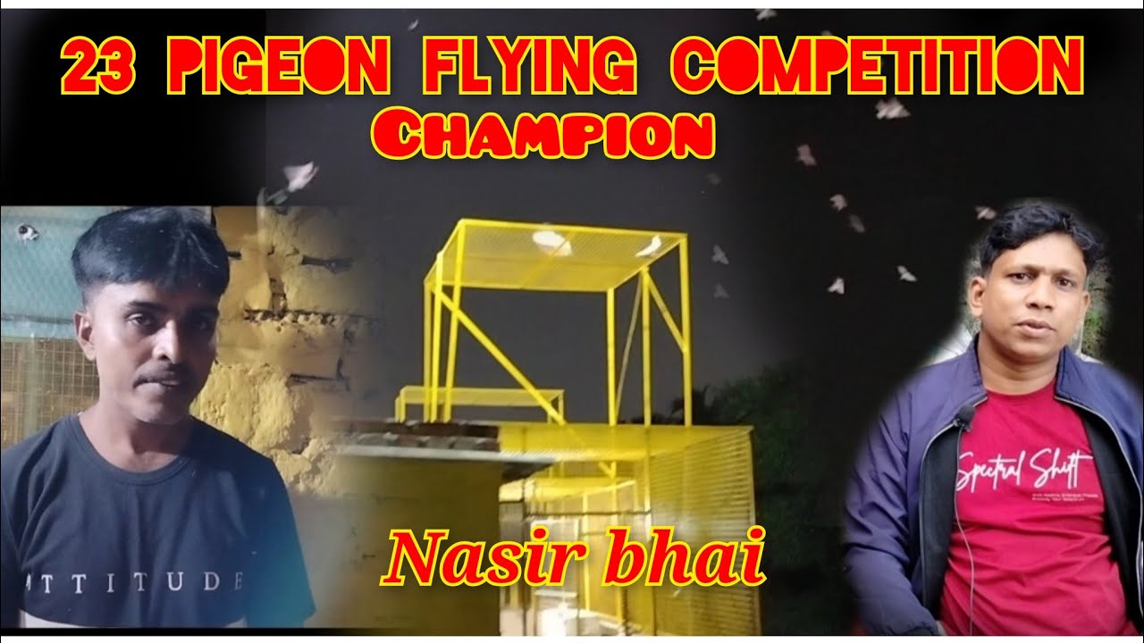 সকাল 6টা থেকে বিকাল 5.59 অবদি পায়রা উড়লো Pigeons flew from 6 am to 5.59 pm.🕊️🏆💪